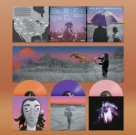 Gruff Rhys:  American Interior