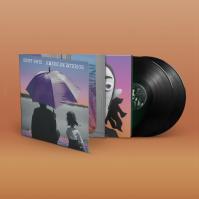 Gruff Rhys:  American Interior