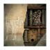 Lamb of God:  VII: Sturm und Drang