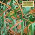 Graveyard:  Innocence -amp; Decadence