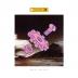 Level 42:  World Machine / Pink