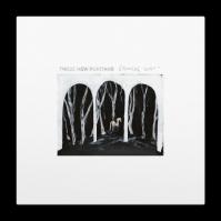 These New Puritans:  Crooked Wing / Clear