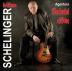 Schelinger, Milan:  Agentura Holubi Dum