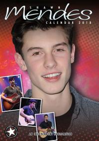 Kalendář 2018 - SHAWN MENDES