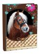 Box na sešity A4 - Sweet Horse