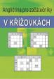 Angličtina pro začátečníky v křížovkách