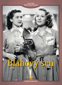 Bláhový sen - DVD (digipack)