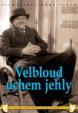 Velbloud uchem jehly - DVD box