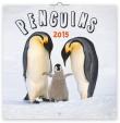 Tučňáci - nástěnný kalendář 2015