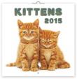 Koťata - nástěnný kalendář 2015