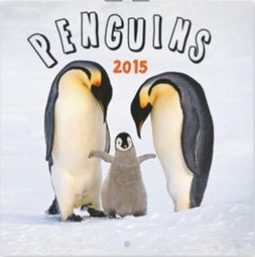Penguins Tučňáci poznámkový - nástěnný kalendář 2015