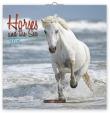 Koně a moře 2015 - nástěnný kalendář