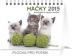 Mačky s menami mačiek Praktik - stolní kalendář 2015