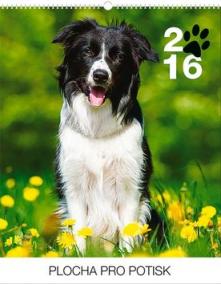 Psi Praktik - nástěnný kalendář 2016