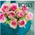 Kalendář nástěnný 2016 - Růže, poznámkový  30 x 30 cm