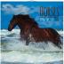 Kalendář nástěnný 2016 - Koně a moře, poznámkový  30 x 30 cm