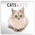 Kalendář poznámkový 2017 - Kočky