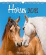 Kalendář nástěnný 2018 - Koně