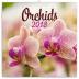 Kalendář poznámkový 2018 - Orchideje, 30 x 30 cm