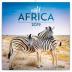 Kalendář poznámkový 2019 - Divoká Afrika, 30 x 30 cm