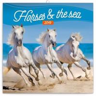 Kalendář poznámkový 2019 - Koně a moře, 30 x 30 cm
