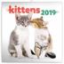 Kalendář poznámkový 2019 - Koťata, 30 x 30 cm