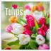 Kalendář poznámkový 2019 - Tulipány, 30 x 30 cm