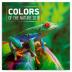 Kalendář poznámkový 2019 - Barvy v přírodě, 30 x 30 cm
