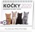 Kalendář stolní 2020 - Kočky – se jmény koček, 16,5 × 13 cm