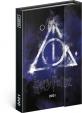 Týdenní magnetický diář Harry Potter – Deathly Hallows 2021, 11 × 16 cm