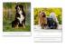 Dogs 2016 - nástěnný kalendář