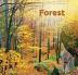 Forest Wald Les 2015 - nástěnný kalendář