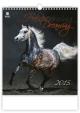 Horses Dreaming - nástěnný kalendář 2015
