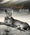 Kalendář nástěnný 2016 - Wild Moments/Exklusive