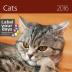 Kalendář nástěnný 2016 - Cats