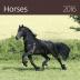 Kalendář nástěnný 2016 - Horses 300x300