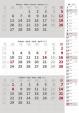 Kalendář nástěnný 2017 - 3měsíční/šedý s poznámkami a jmenným kalendáriem