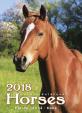 Kalendář nástěnný 2018 - Koně