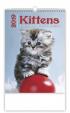 Kalendář nástěnný 2019 - Kittens/Katzenbabys/Kočičky/Mačičky