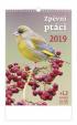 Kalendář nástěnný 2019 - Zpěvní ptáci