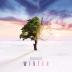 Cold Blue:  Winter