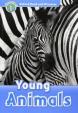 Level 1: Young Animals Audio CD Pack/Oxford Read and Discover