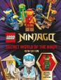 LEGO Ninjago Secret World of the Ninja N