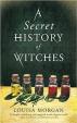 Secret History of Witches