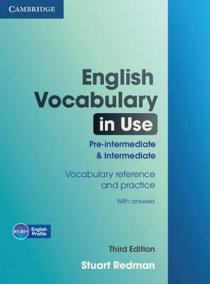 English Vocabulary in Use 3rd Edition Pre-Interm and Interm Edition with answers