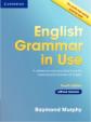 English Grammar in Use Without Answers