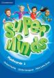 Super Minds 1: Flashcards