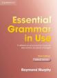 Essential Grammar in Use 3rd Edition: Edition without answers