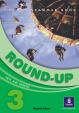 Round-Up 3: Grammar Practice Student´s Book