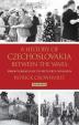 A History of Czechoslovakia Between the Wars : From Versailles to Hitler´s Invasion